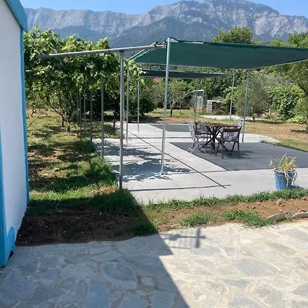 Tasos Bi Криси Амудия